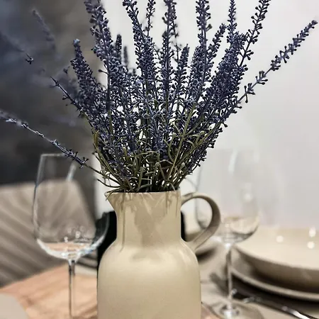 Opera Z39 Apartment *